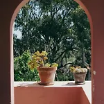 Nectar * Varakes
