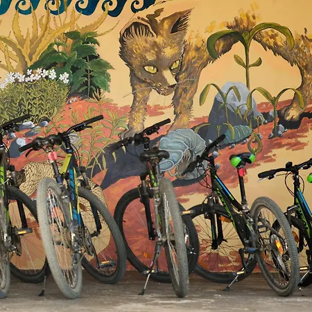 Nectar Holiday home *