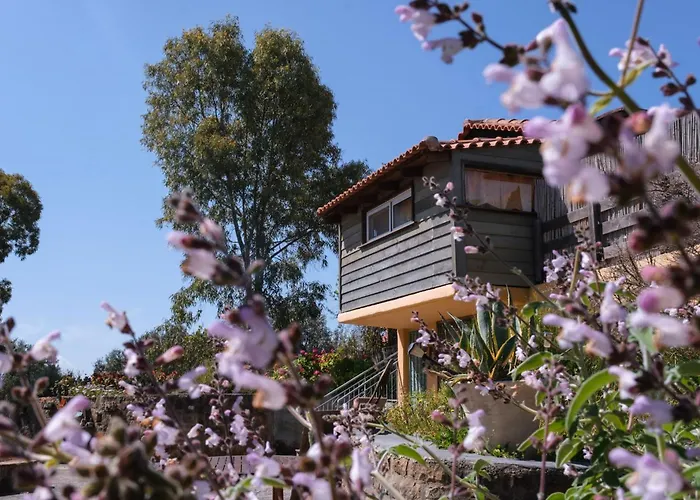Casa vacanze Nectar Varakes